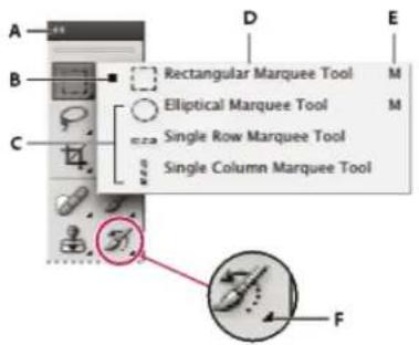ADOBE Photoshop CC - Select a tool - 1