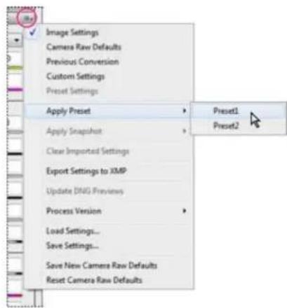 ADOBE Photoshop CC - Apply saved Camera Raw settings - 1