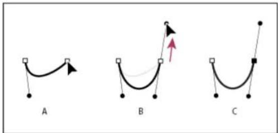 ADOBE Photoshop CC - Draw curves with the Pen tool - 2