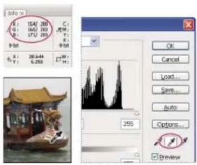 ADOBE Photoshop CC - View color values in an image - 1