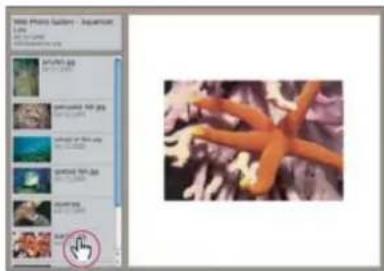 ADOBE Photoshop CC - About web photo galleries - 1