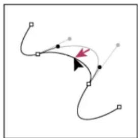 ADOBE Photoshop CC - Adjust the position or shape of curved segments - 2