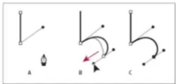 ADOBE Photoshop CC - Draw straight lines followed by curves - 2