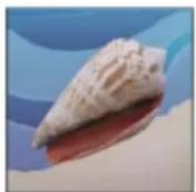 ADOBE Photoshop CC - Create transparency using image clipping paths - 2