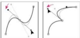 ADOBE After Effects CS6 - About paths - 3