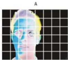 ADOBE After Effects CS6 - Pixel aspect ratio and frame aspect ratio - 2