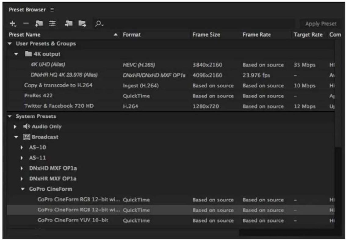 ADOBE Media Encoder CC - Preset Browser - 1