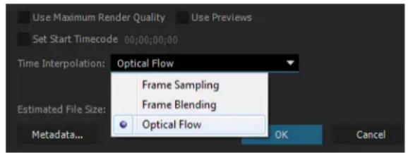 ADOBE Media Encoder CC - Time interpolation settings - 1