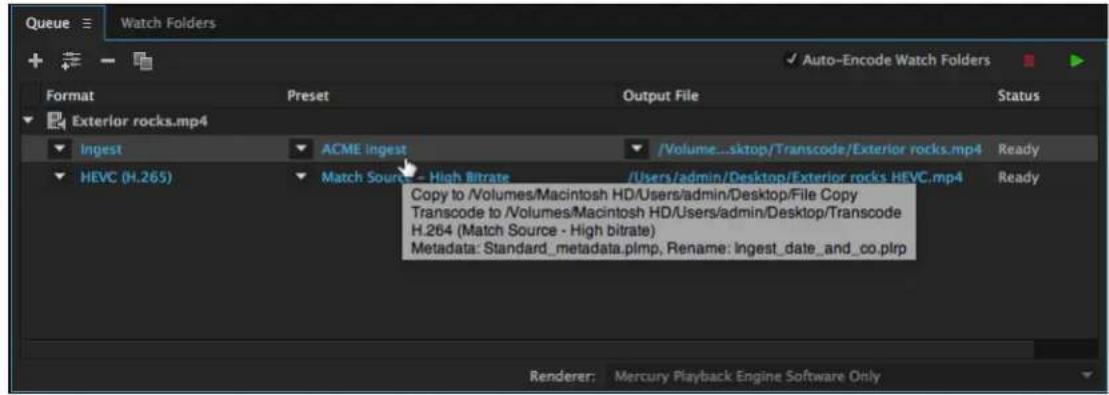 ADOBE Media Encoder CC - Working with Ingest Outputs in the Queue Panel - 1