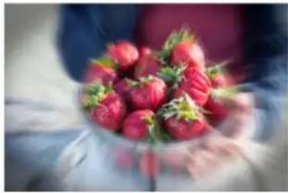 ADOBE Photoshop Elements 12 - The Zoom Burst Effect Guided Edit | Photoshop Elements 12 - 2