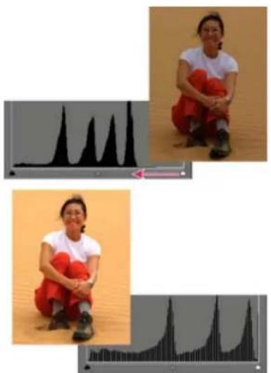 ADOBE Photoshop Elements 12 - Adjust shadows and brightness using Levels - 1