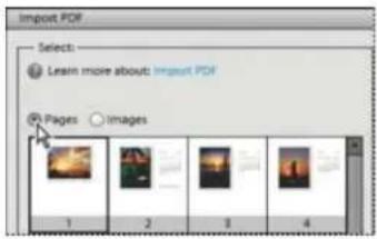 ADOBE Photoshop Elements 12 - Open a PDF file - 1