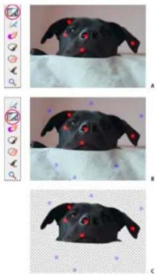 ADOBE Photoshop Elements 12 - Use the Magic Extractor - 1