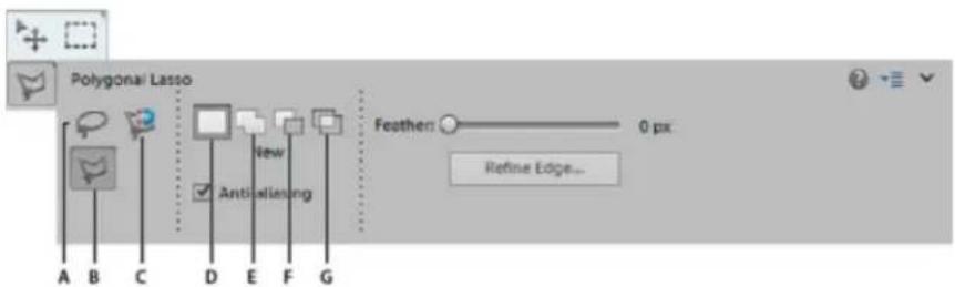 ADOBE Photoshop Elements 12 - Use the Polygonal Lasso tool - 1