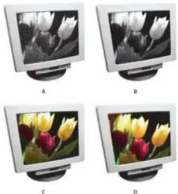 ADOBE Photoshop Elements 12 - About image modes - 1