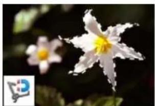 ADOBE Photoshop Elements 12 - About the selection tools - 5