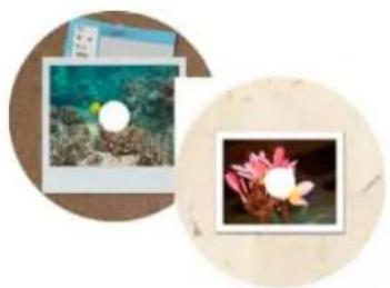 ADOBE Photoshop Elements 12 - About CD and DVD labels - 1