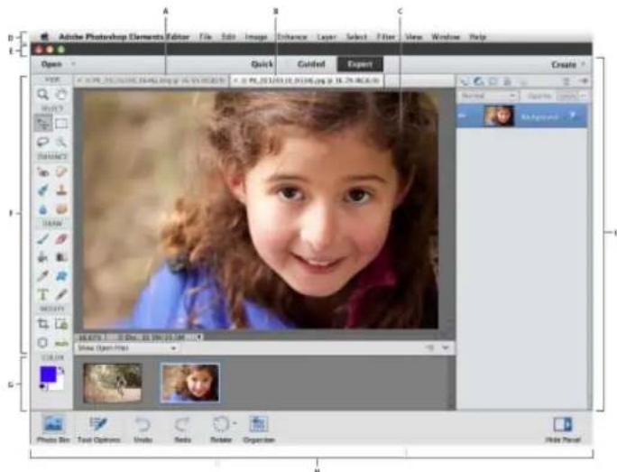 ADOBE Photoshop Elements 12 - Usability Enhancements - 1
