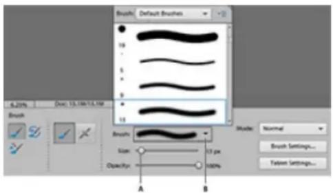 ADOBE Photoshop Elements 12 - About painting tools - 1