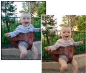 ADOBE Photoshop Elements 12 - Apply the Photo filter - 1