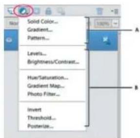 ADOBE Photoshop Elements 12 - About adjustment and fill layers - 1