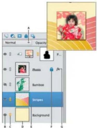ADOBE Photoshop Elements 12 - About the Layers panel - 1