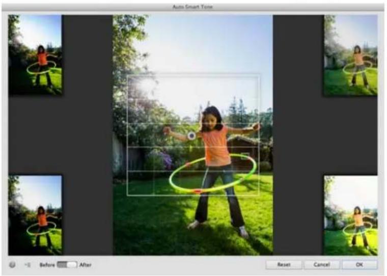 ADOBE Photoshop Elements 12 - Auto Smart Tone - 1