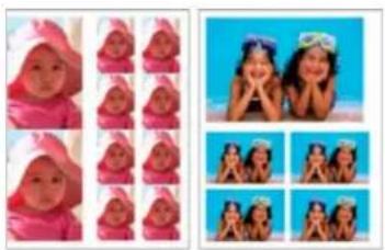ADOBE Photoshop Elements 12 - Print a picture package - 1