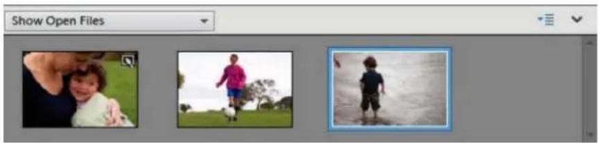 ADOBE Photoshop Elements 12 - Use the Photo Bin - 1