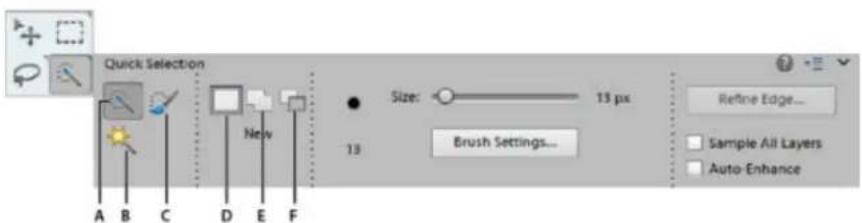 ADOBE Photoshop Elements 12 - Use the Quick Selection tool - 1