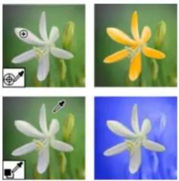 ADOBE Photoshop Elements 12 - Replace colors in an image - 1