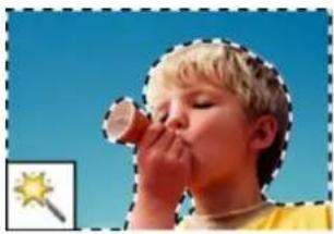 ADOBE Photoshop Elements 12 - About the selection tools - 6