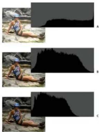 ADOBE Photoshop Elements 12 - About histograms - 2