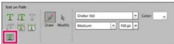 ADOBE Photoshop Elements 12 - Text on Selection - 1