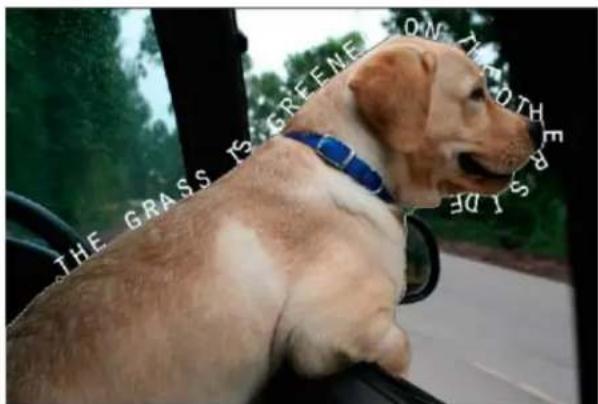 ADOBE Photoshop Elements 12 - Text on Selection - 3