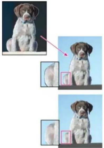 ADOBE Photoshop Elements 12 - Defringe a selection - 1