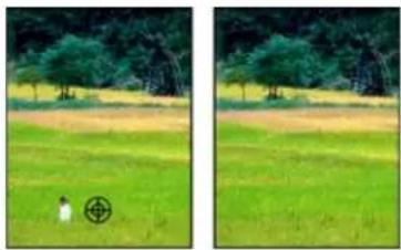 ADOBE Photoshop Elements 12 - Fix large imperfections - 1