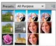 ADOBE Photoshop Elements 12 - Adjust color and tonality using the Smart Brush tools - 2