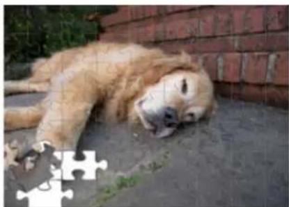 ADOBE Photoshop Elements 12 - The Puzzle Effect Guided Edit || Photoshop Elements 12 - 2