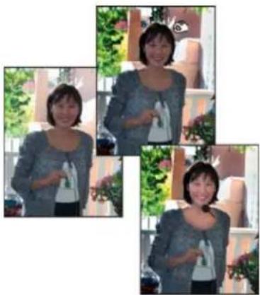ADOBE Photoshop Elements 12 - Quickly lighten or darken isolated areas - 1