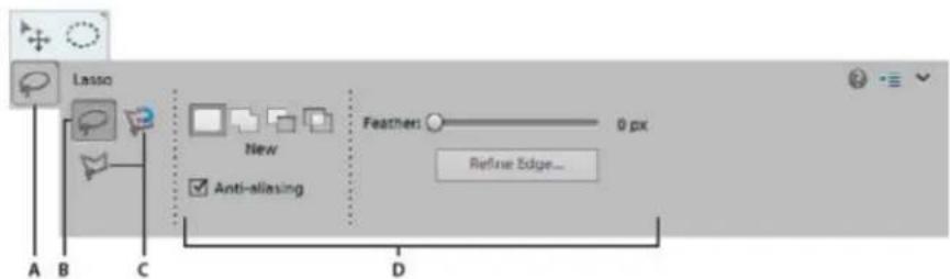 ADOBE Photoshop Elements 12 - Set tool options - 1