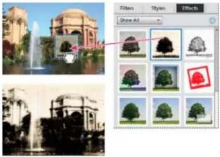 ADOBE Photoshop Elements 12 - Apply an effect - 2