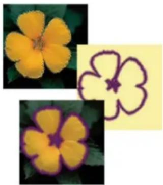 ADOBE Photoshop Elements 12 - Frame an existing selection with a new selection border - 1