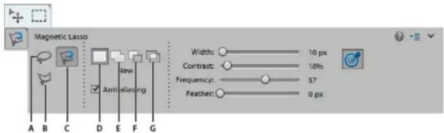 ADOBE Photoshop Elements 12 - Use the Magnetic Lasso tool - 1