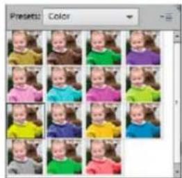 ADOBE Photoshop Elements 12 - Adjust color and tonality using the Smart Brush tools - 6