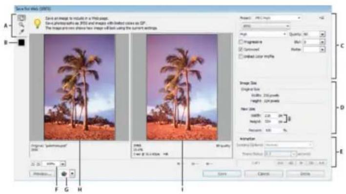 ADOBE Photoshop Elements 12 - Using the Save For Web dialog box - 1