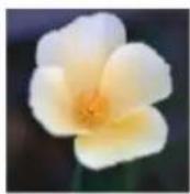 ADOBE Photoshop Elements 12 - Save, load, or delete a selection - 1
