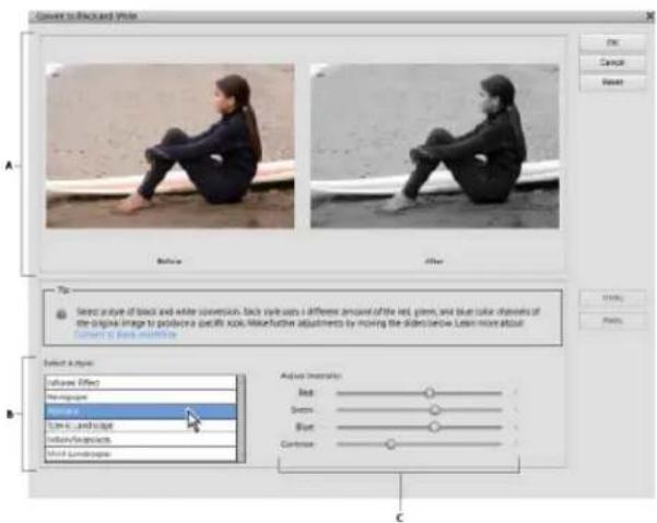 ADOBE Photoshop Elements 12 - Precisely convert to black and white - 2