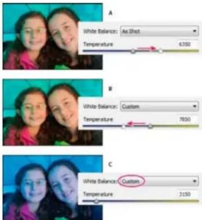 ADOBE Photoshop Elements 12 - White balance controls for camera raw - 1