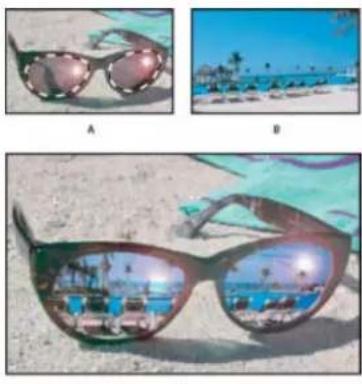 ADOBE Photoshop Elements 12 - Paste one selection into another - 1